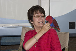 Joan and Jewel ( An Eclectic Parrot )