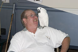 Larry and Cleo ( An Umbrella Cockatoo )